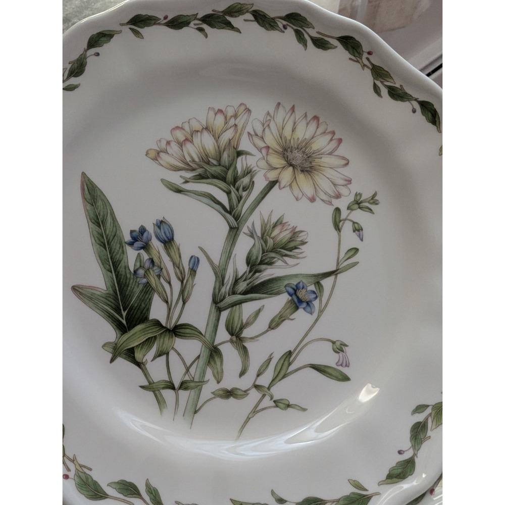 Noritake Gourmet Garden: Salad Plate, 8",‎ #10 Silphium